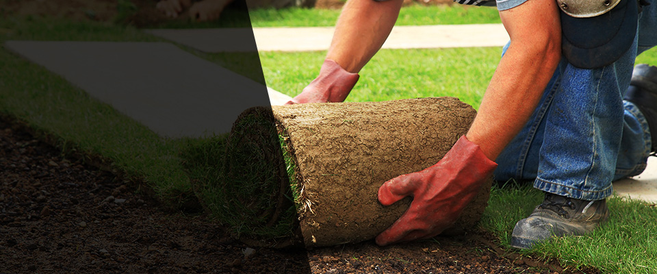 Chadds Ford Landscapers